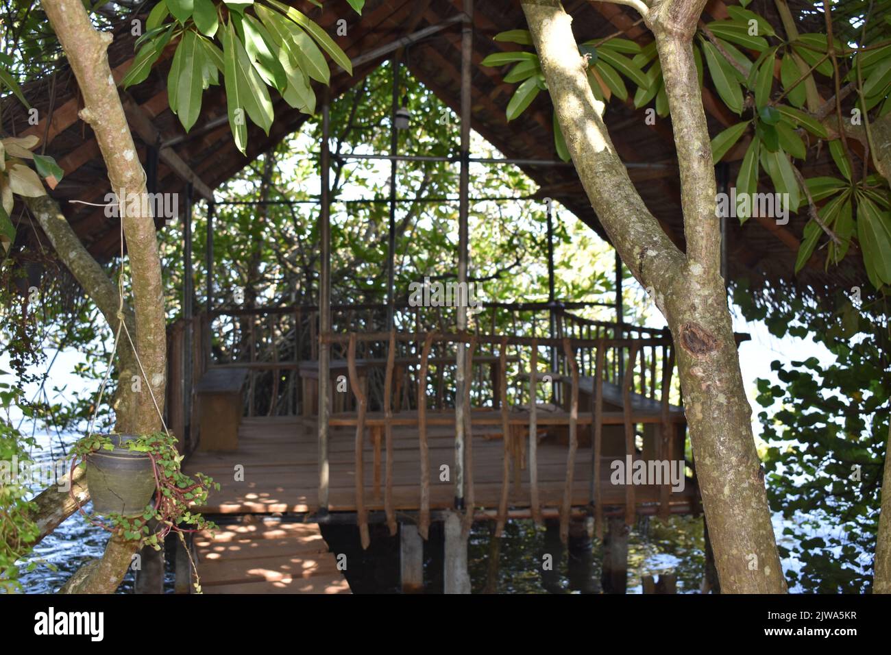 Cinnamon Islet est situé sur le Madhu Ganga est situé vers le sud du Sri Lanka. L'îlot est habité par la famille du producteur de cannelle G. H. Premadasa, qui est assez aimable pour expliquer aux visiteurs comment peler la cannelle pour la production d'huile de cannelle. Les gens peuvent avoir un thé mélangé à la cannelle et acheter de la cannelle de la plus haute qualité ici. La cannelle est une épice qui vient de l'écorce intérieure de l'arbre tropical Cinnamomum, est vendu comme des quills roulés (bâtons de cannelle) ou moulu dans une fine poudre. Sri Lanka. Banque D'Images