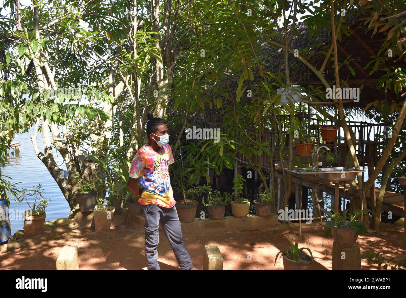 Cinnamon Islet est situé sur le Madhu Ganga est situé vers le sud du Sri Lanka. L'îlot est habité par la famille du producteur de cannelle G. H. Premadasa, qui est assez aimable pour expliquer aux visiteurs comment peler la cannelle pour la production d'huile de cannelle. Les gens peuvent avoir un thé mélangé à la cannelle et acheter de la cannelle de la plus haute qualité ici. La cannelle est une épice qui vient de l'écorce intérieure de l'arbre tropical Cinnamomum, est vendu comme des quills roulés (bâtons de cannelle) ou moulu dans une fine poudre. Sri Lanka. Banque D'Images