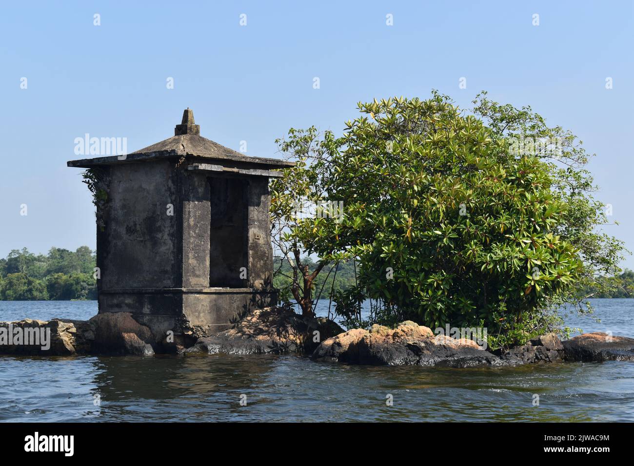 Le plus petit îlot du lac Madu Ganga est appelé « Satha Paha Doowa ». “Paha” se traduit par “cinq”, alors que “Satha” signifie “cent”. Selon la tradition locale, l'îlot avait été acheté pour cinq cents. Mais d'autres disent, il a obtenu son nom en raison de la forme ou de la petite taille qui ressemble à une petite pièce. L'île de Nonough-cent-Island est assez grande pour porter un temple. Le sanctuaire est dédié à Kataragama, une déité vénérée par les bouddhistes cinghalais, les hindous tamouls et les animistes de Weddah. D’une certaine manière, c’est un Devale, un sanctuaire bouddhiste pour une déité hindoue. Sri Lanka. Banque D'Images