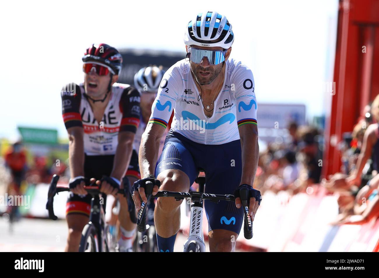 Espagnol Alejandro Valverde de Movistar Team traverse la ligne d'arrivée de la phase 15 de l'édition 2022 de la 'Vuelta a Espana', Tour d'Espagne course cycliste, de Martos à Sierra Nevada (153 km), Espagne, dimanche 04 septembre 2022. BELGA PHOTO DAVID PINTENS Banque D'Images