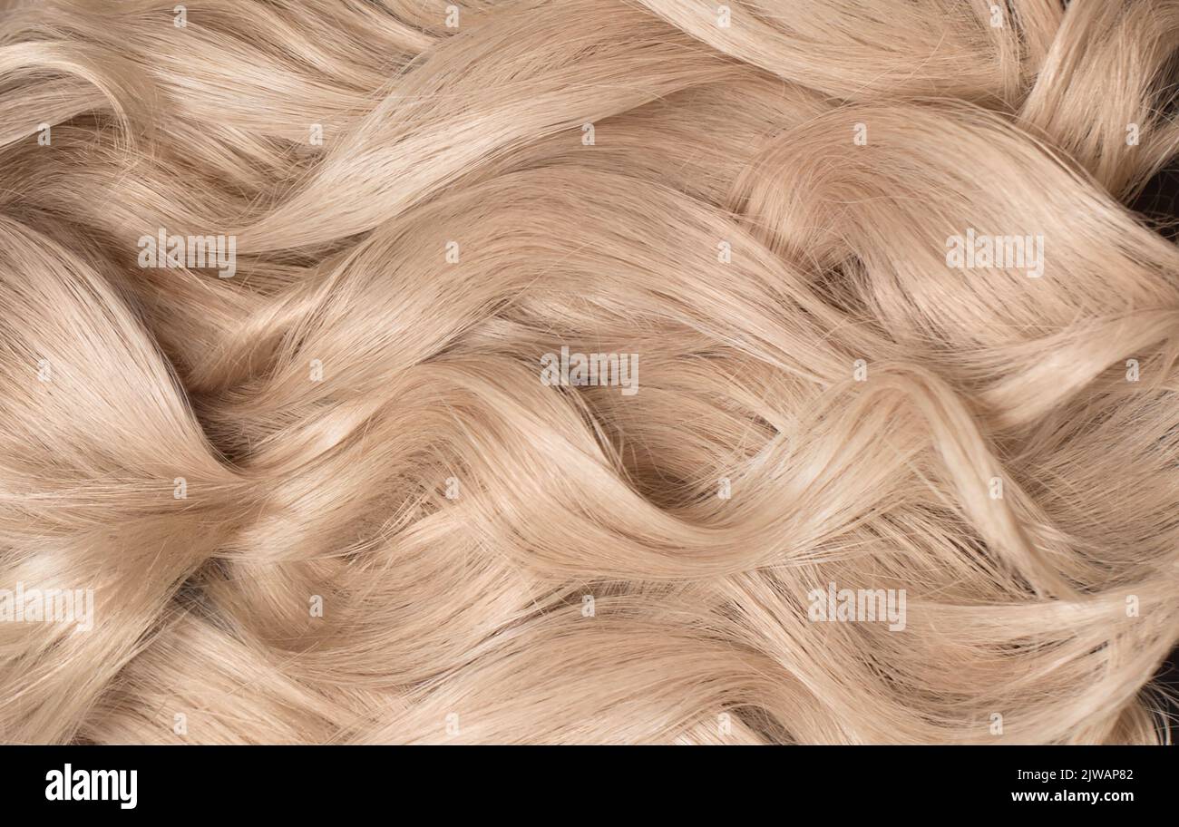 Gros plan sur les cheveux, boucles blondie Banque D'Images