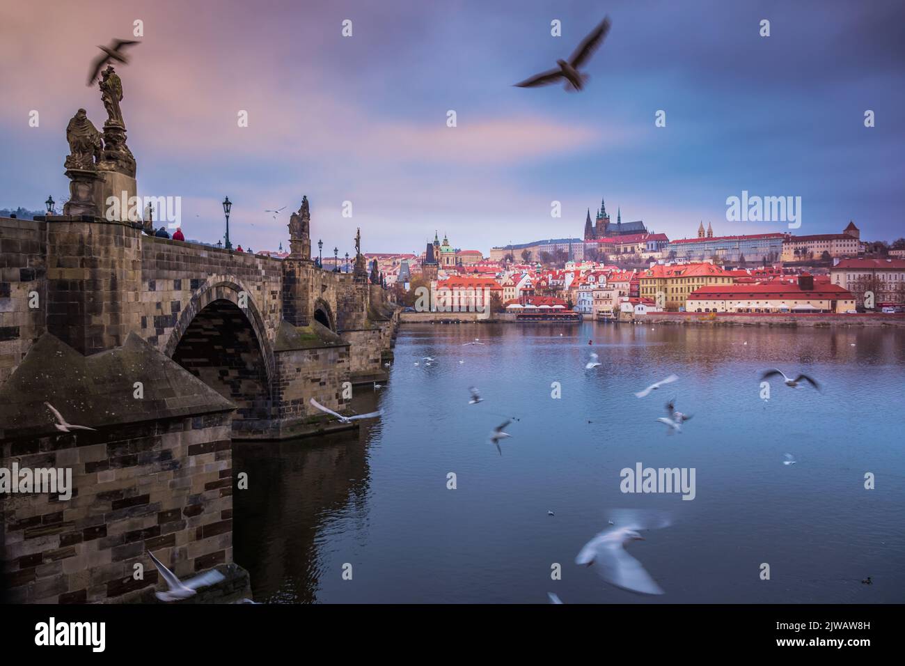Pont Charles au cours d'une soirée spectaculaire avec des colombes, Prague médiévale, République tchèque Banque D'Images
