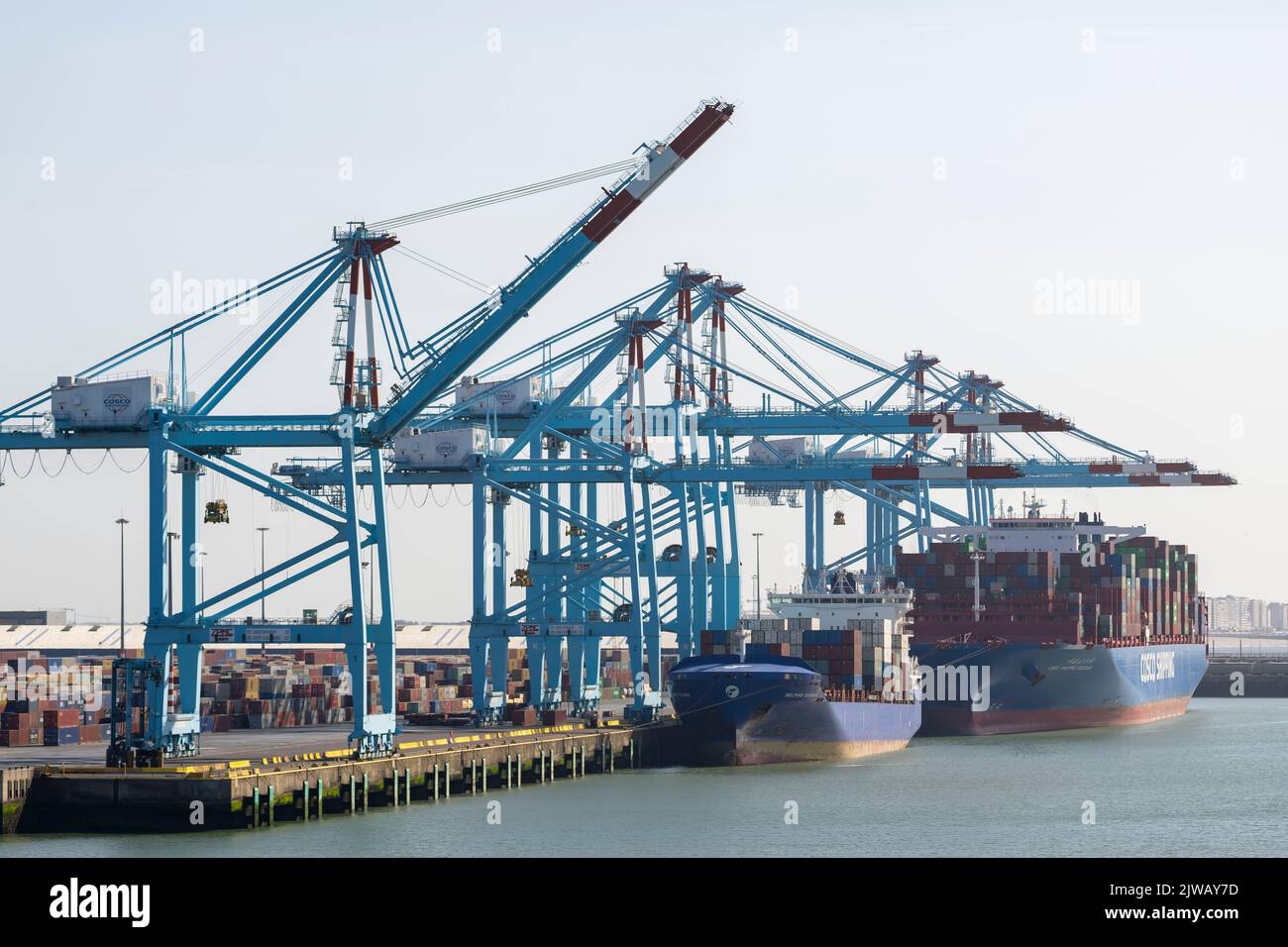 Un Cosco Shipping cargo à quai à Bruges, Belgique. Banque D'Images