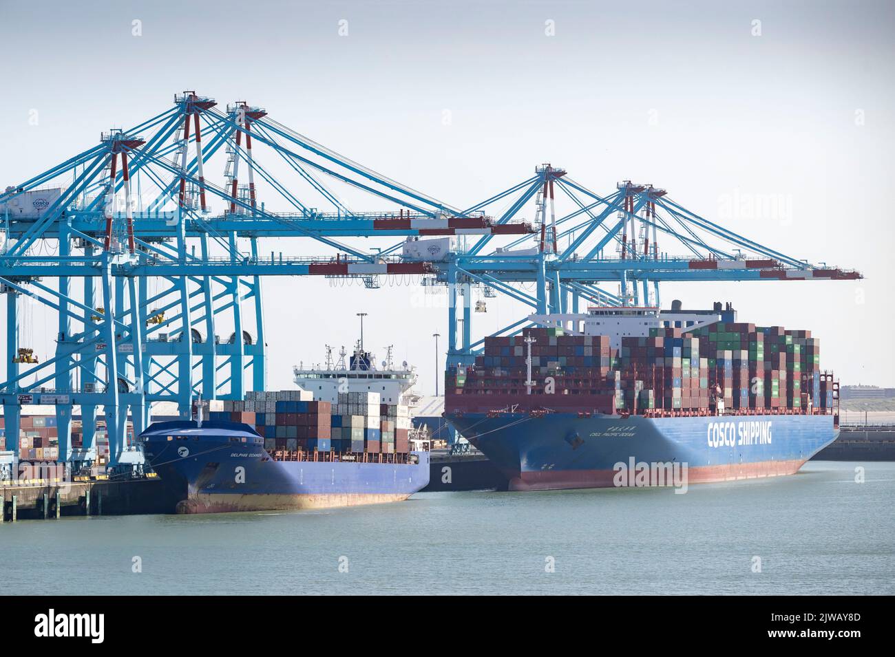 Un Cosco Shipping cargo à quai à Bruges, Belgique. Banque D'Images