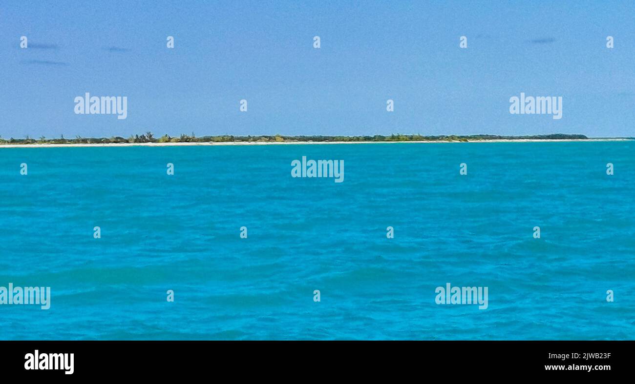 Excursion en bateau de Cancun à l'île de Mujeres Isla Contoy et excursion aux requins baleines avec panorama tropical naturel et bleu turquoise et cercle vert Banque D'Images