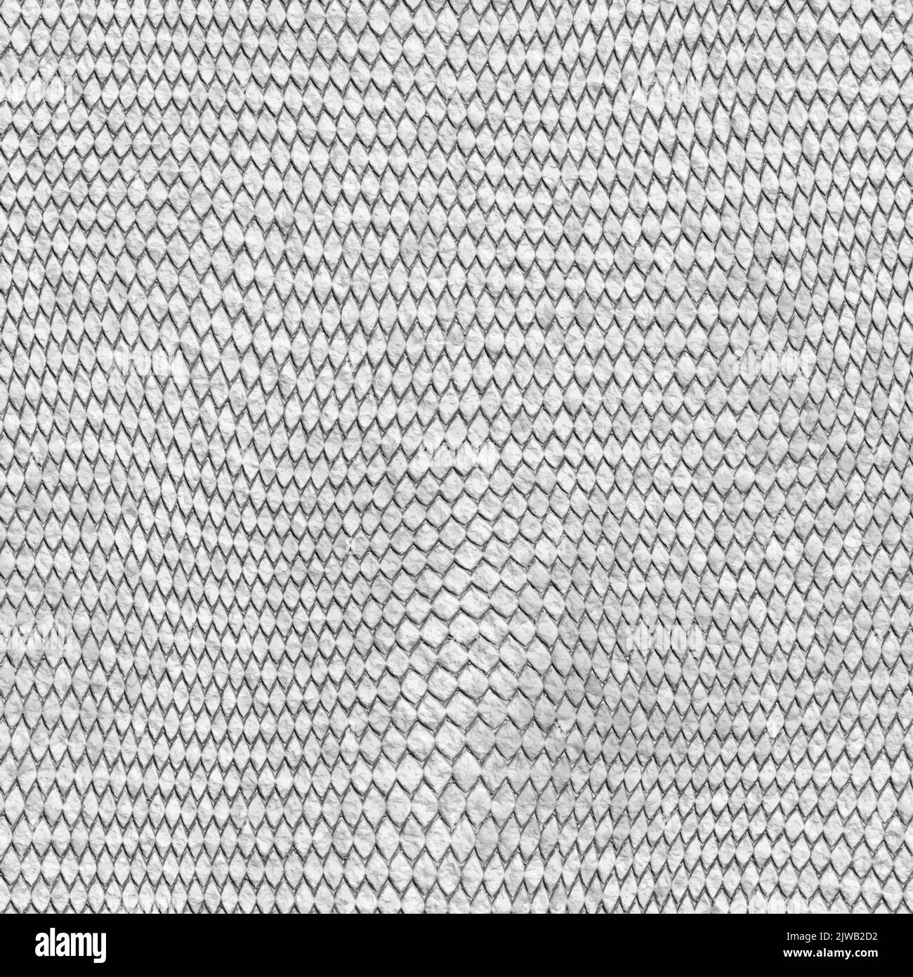 Texture de la peau d'alligator. Motif crocodile sans couture, reptile blanc animal tropical sauvage. Illustration peau à motif crocodile, texture toile de fond serpent Illustration de Vecteur