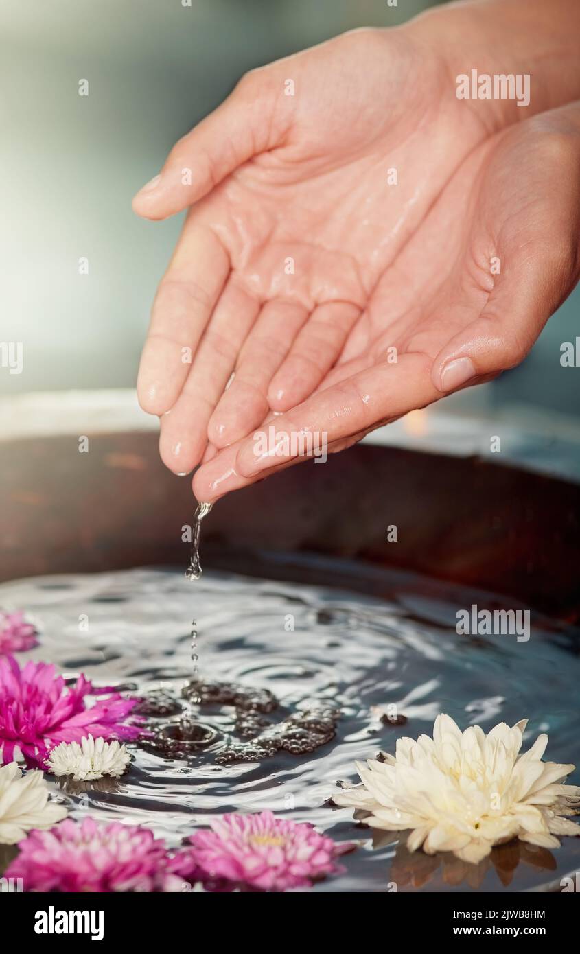 L'humidité est l'essence d'une peau saine. Les mains des femmes dans un bol d'eau rempli de fleurs au spa. Banque D'Images