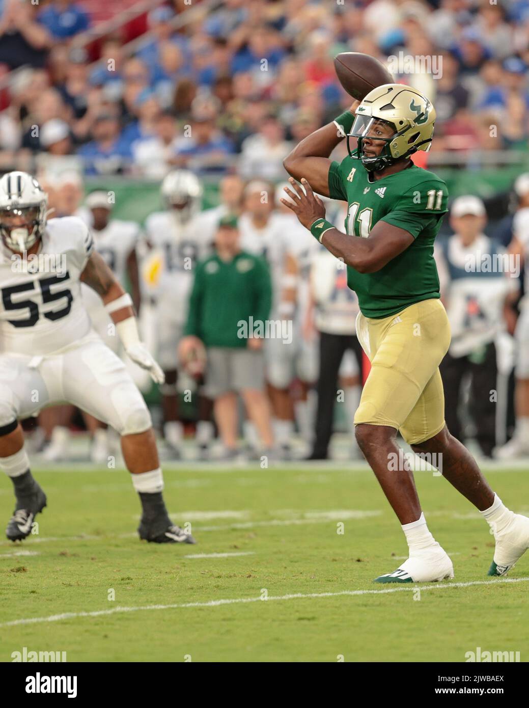 Tampa, Floride. États-Unis; quartier des Bulls du sud de la Floride Gerry Bohanon (11) retombe à passe lors d'un match de football de la NCAA contre l'université Brigham Young, Banque D'Images