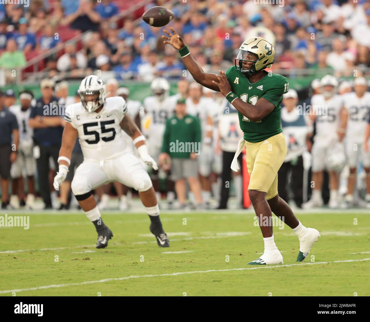 Tampa, Floride. États-Unis; quartier des Bulls du sud de la Floride Gerry Bohanon (11) retombe à passe lors d'un match de football de la NCAA contre l'université Brigham Young, Banque D'Images Tampa, Floride. États-Unis; quartier des Bulls du sud de la Floride Gerry Bohanon (11) retombe à passe lors d'un match de football de la NCAA contre l'université Brigham Young, Banque D'Images