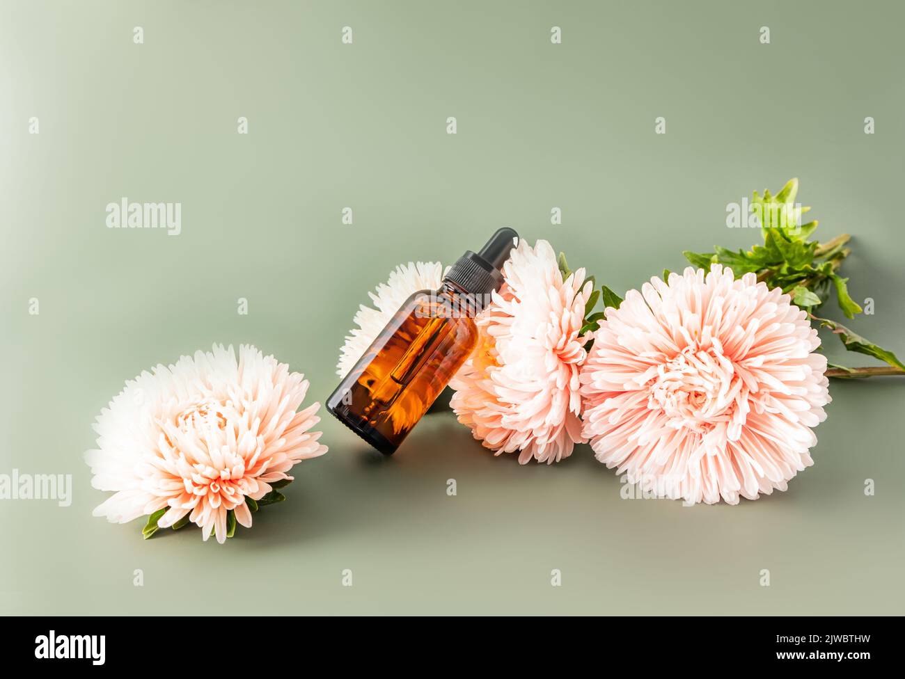 flacon cosmétique avec compte-gouttes avec un sérum pour le visage ou un produit cosmétique pour le soin de la peau anti-âge. fond vert avec des asters Banque D'Images