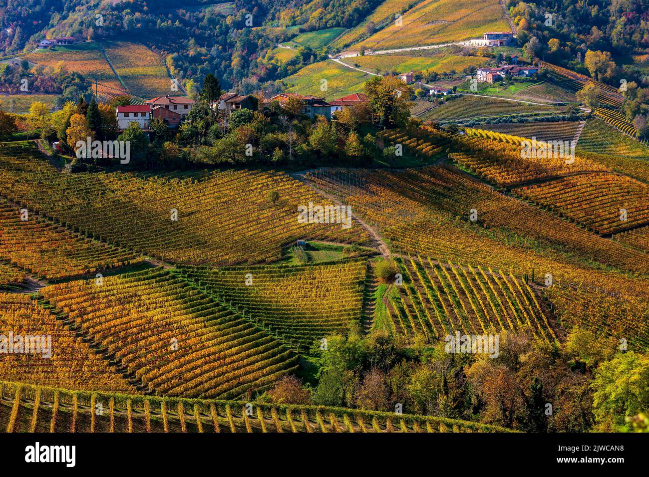 Vue depuis le dessus des vignobles automnaux colorés sur les collines de Langhe dans le Piémont, dans le nord de l'Italie. Banque D'Images