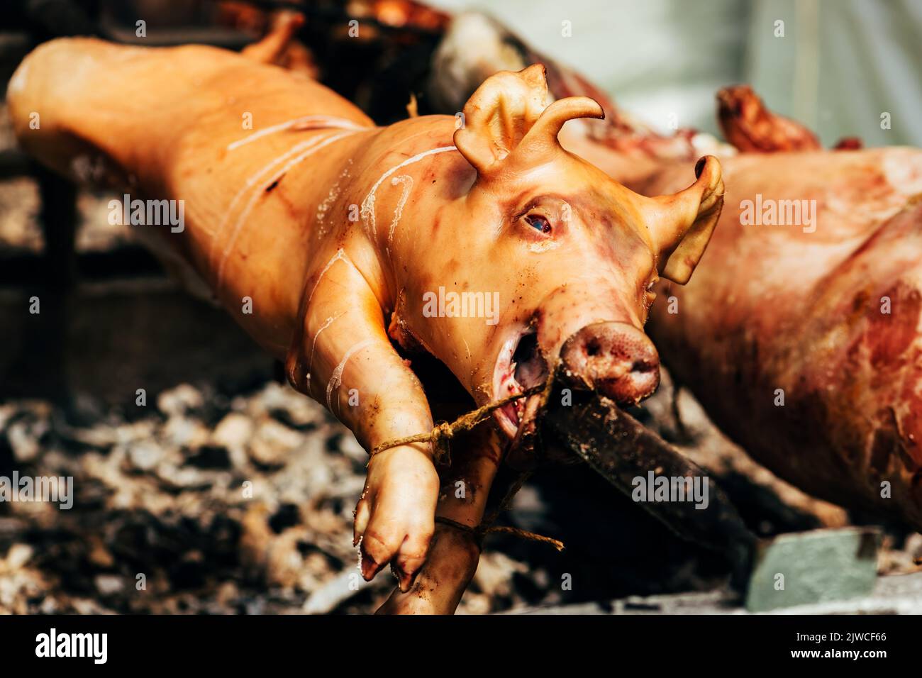 Porc entier rôti sur une broche, foyer sélectif Banque D'Images