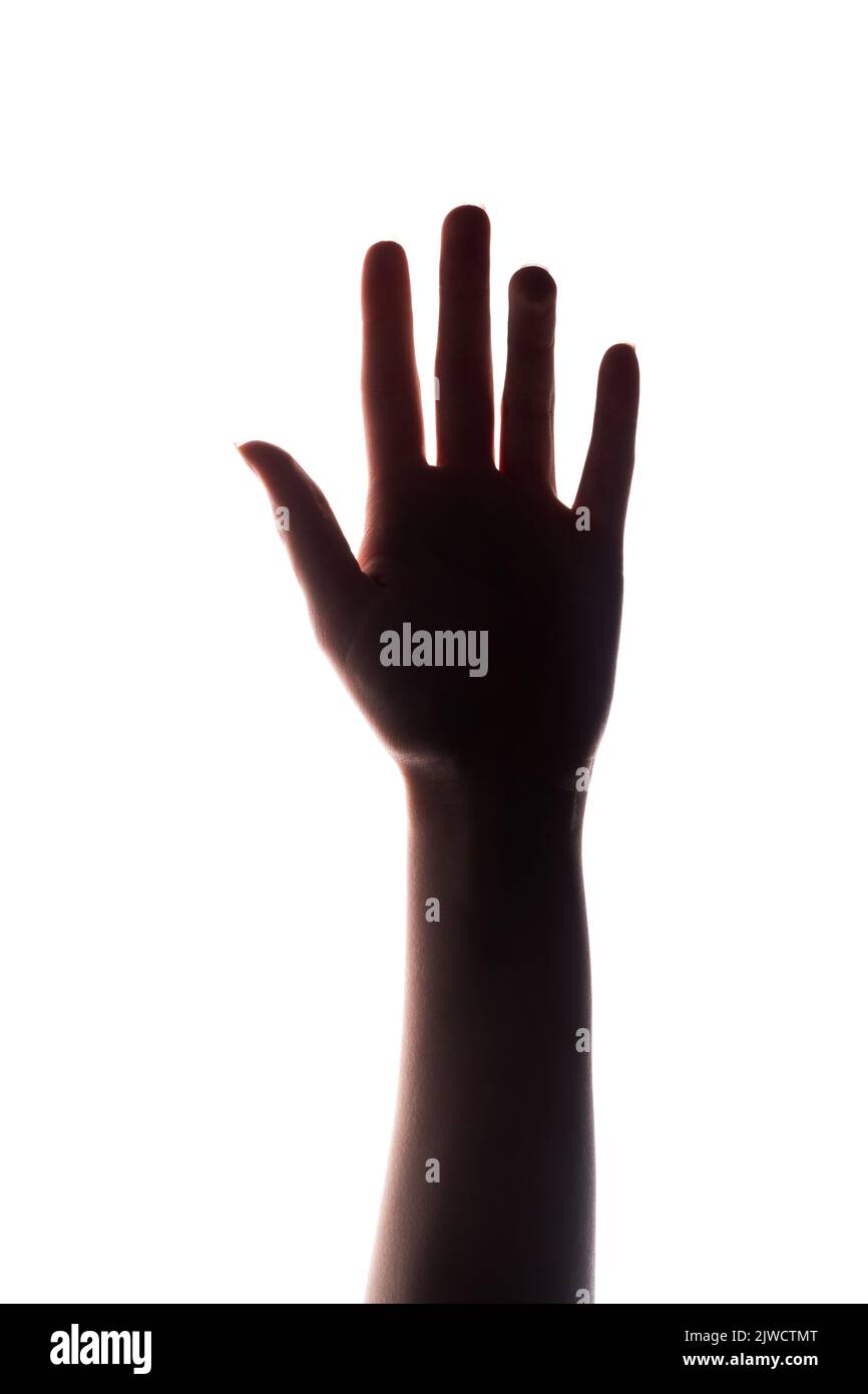 main silhouette voting droite femelle bras vers le haut blanc Banque D'Images