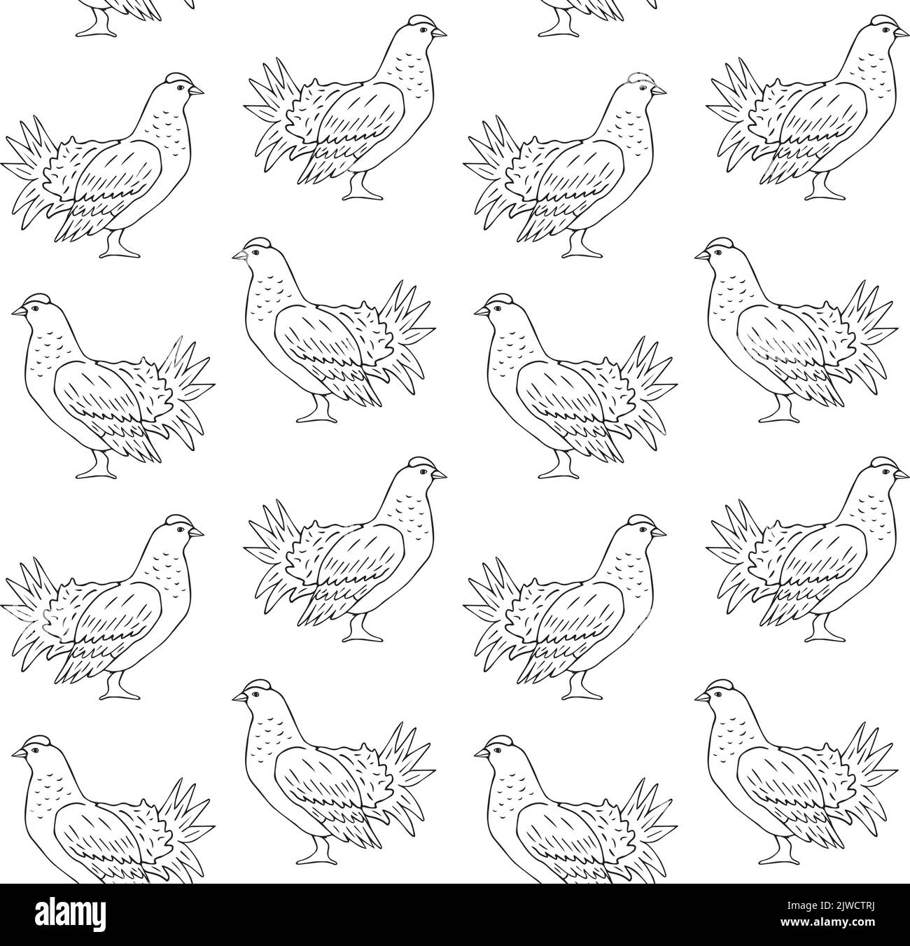 Motif vectoriel sans couture d'un oiseau de tétras d'esquisse dessiné à la main isolé sur fond blanc Illustration de Vecteur