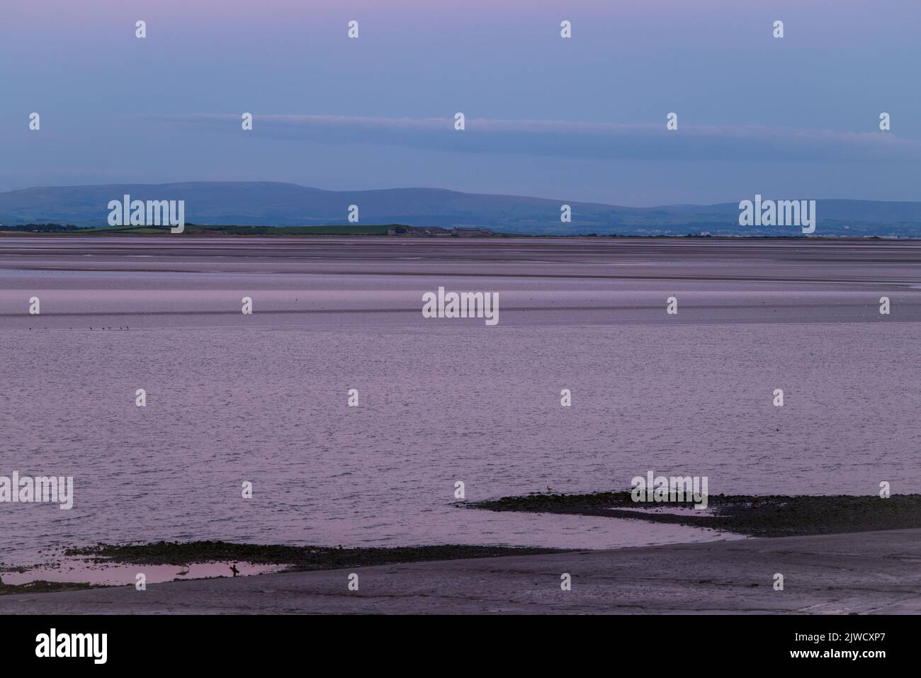 Ciel voilé violet rose sur la baie de Morecambe après le coucher du soleil. Vue depuis Canal foot, Ulverston, Cumbria, Royaume-Uni Banque D'Images