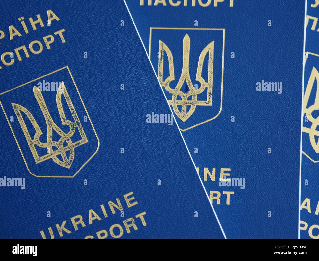 Ukraine passport Banque de photographies et d'images à haute résolution -  Alamy