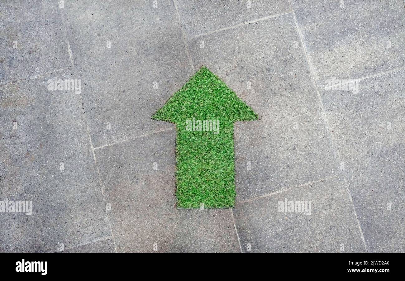 Flèche verte constituée d'une zone d'herbe pointant vers le haut Banque D'Images