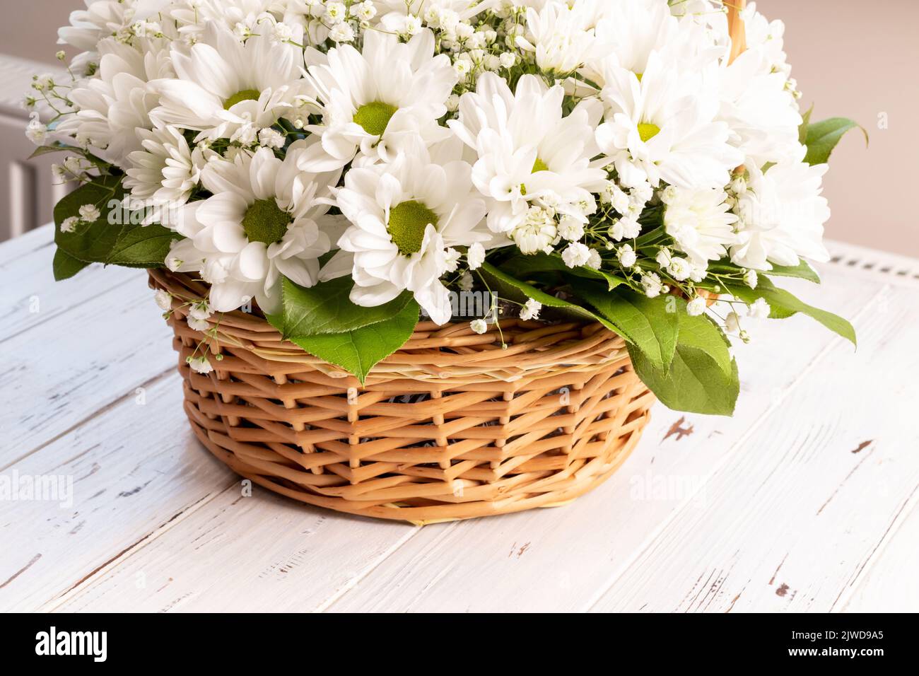 Panier en osier de chrysanthèmes blancs camomille sur fond de bois. Panier de fleurs pour les fêtes Banque D'Images