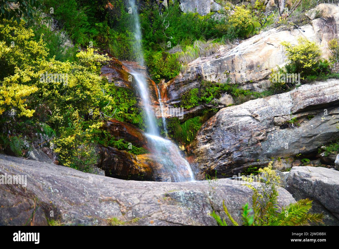 Beehive Falls, parc national des Grampians Banque D'Images