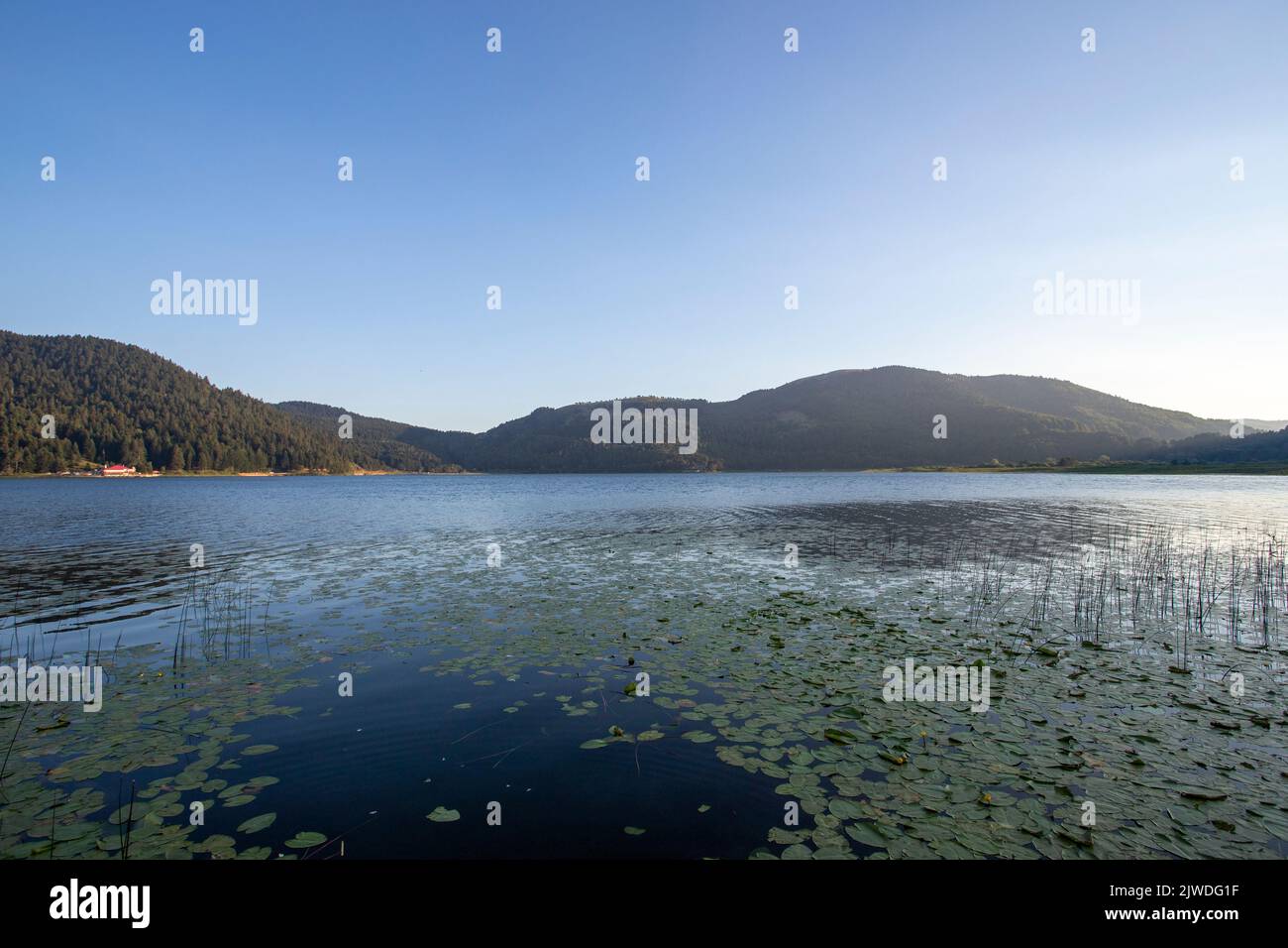 Lac Bolu Abant. Vue extérieure sur le lac Banque D'Images