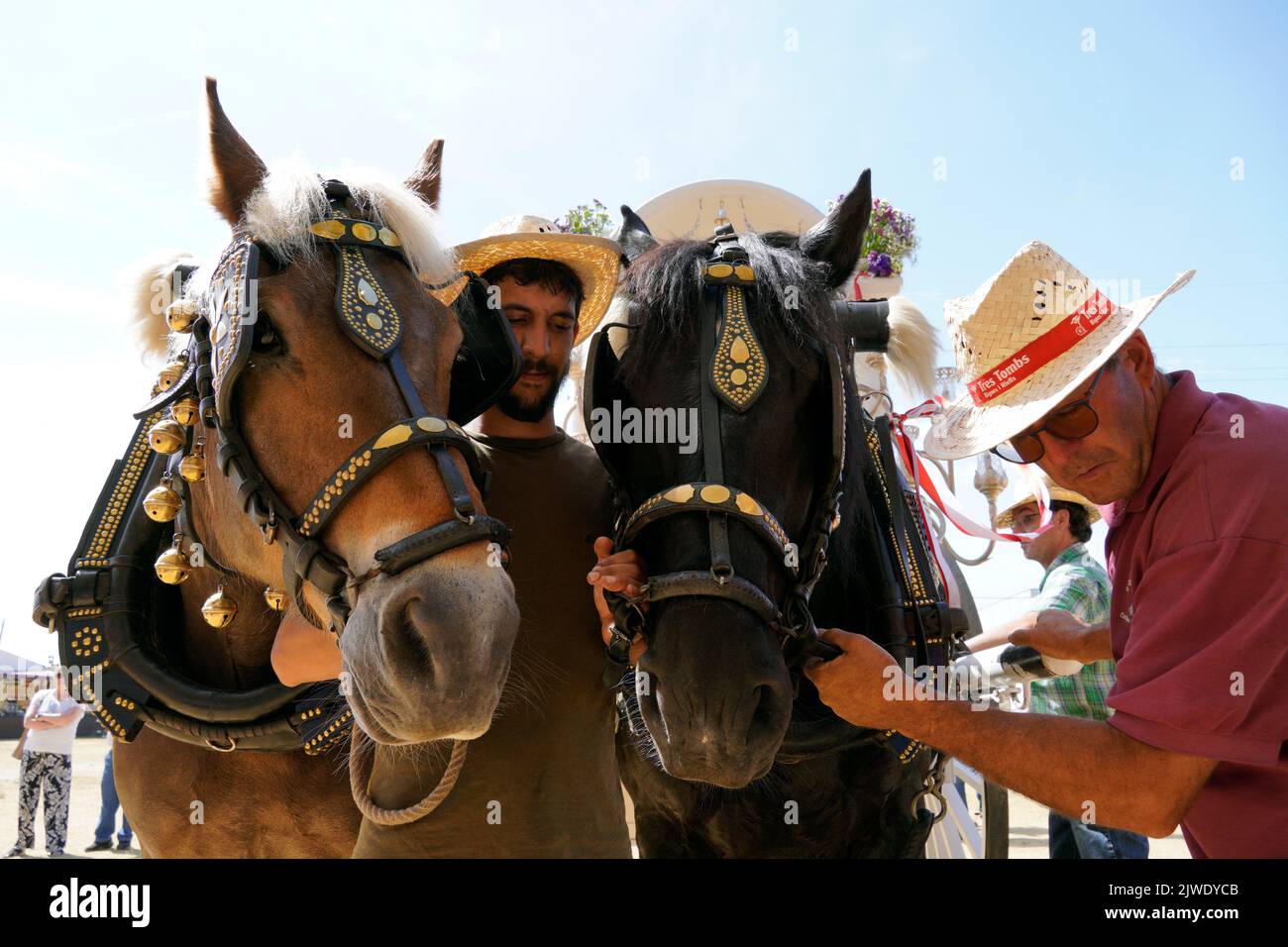 Barcelone, Catalogne, Espagne, 4 juillet 2022 : chevaux et deux hommes pendant le pèlerinage de la Vierge d'El Rocio Banque D'Images