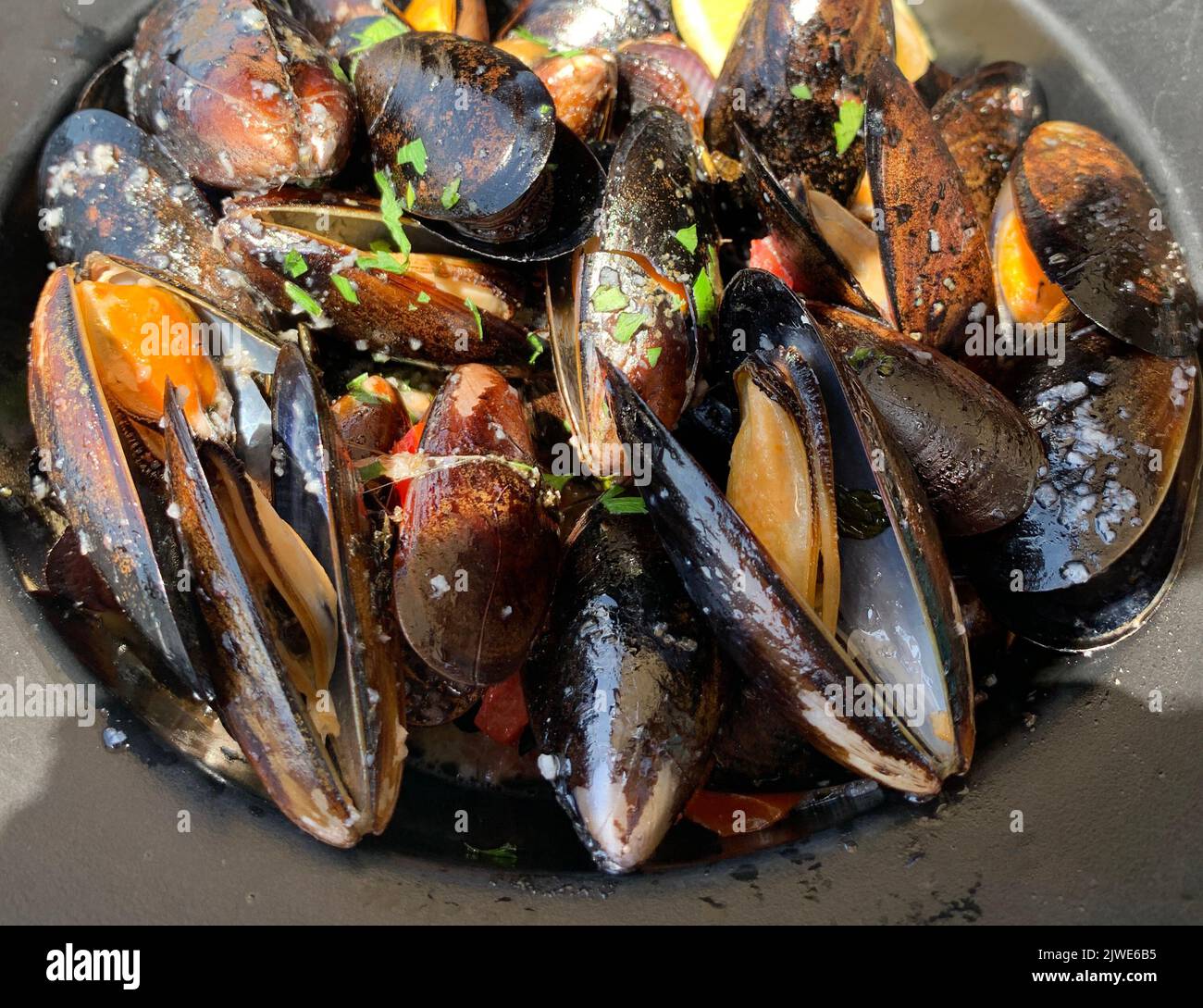 Gros plan d'un bol de moules Banque D'Images