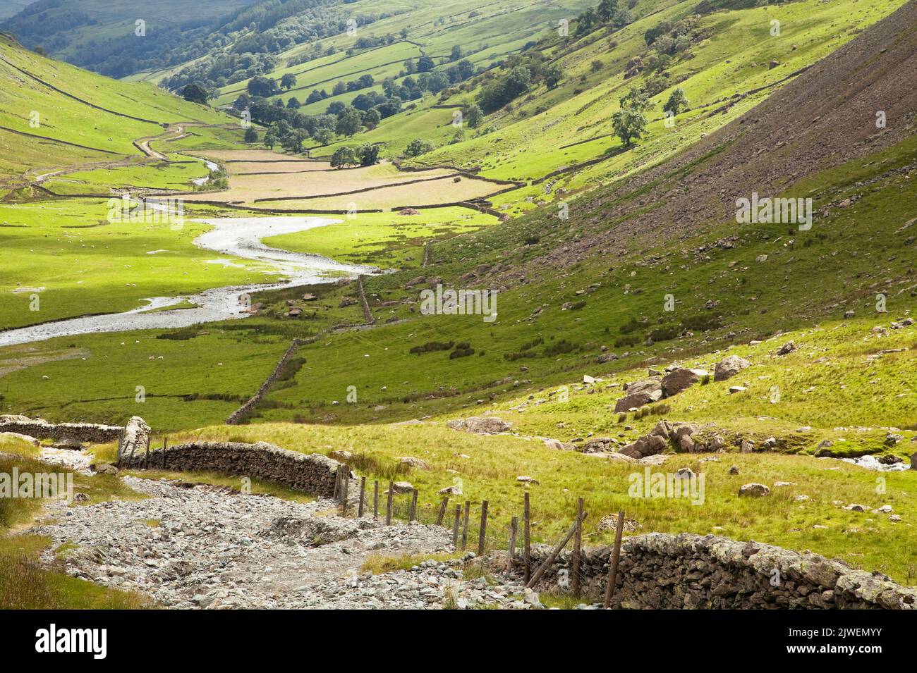 Piste dans la vallée de Longsleddale, Lake District, Cumbria Banque D'Images