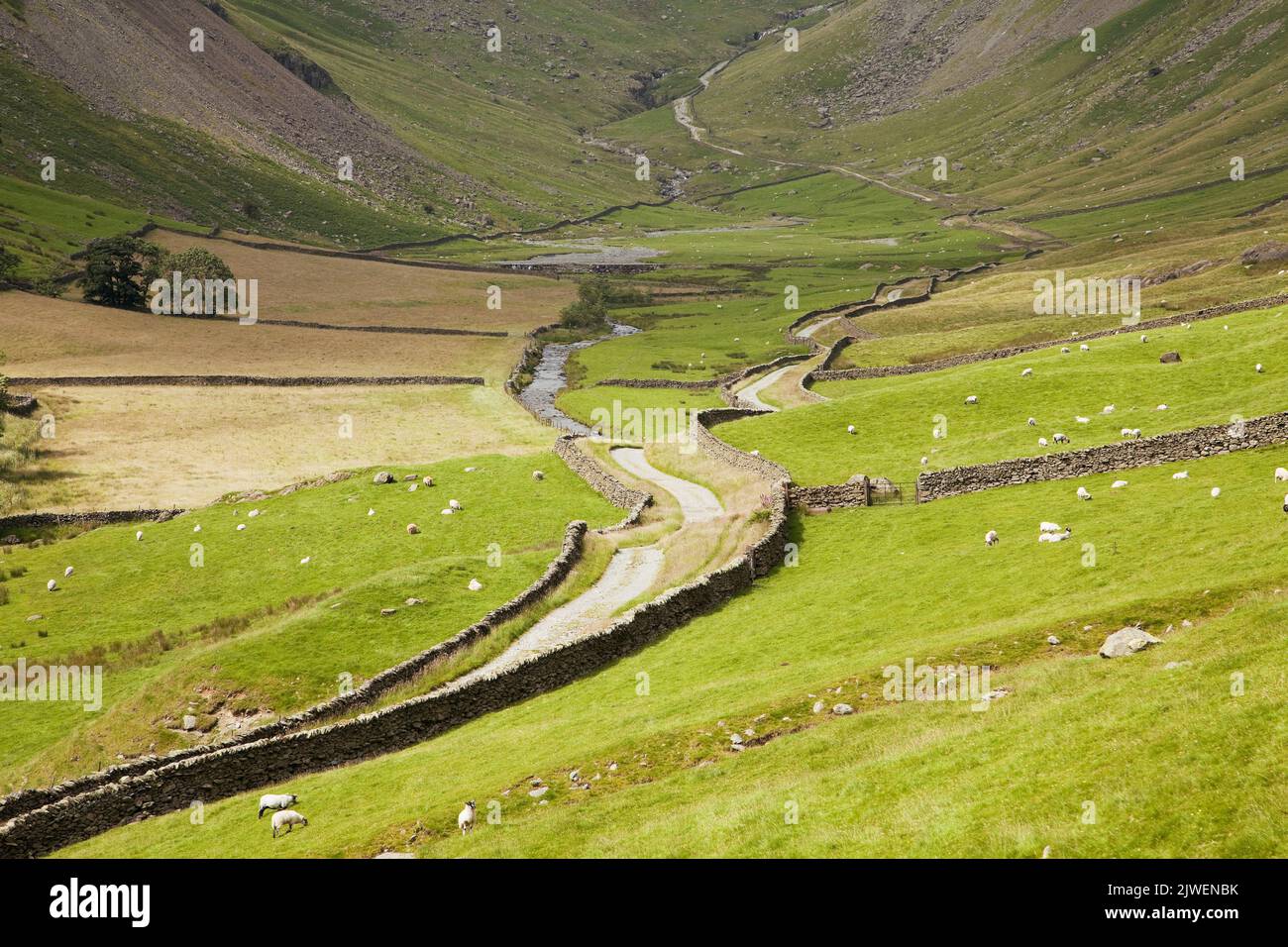 Piste à Longsleddale, dans les Fells de l'extrême-Orient du district des lacs anglais, Cumbria Banque D'Images