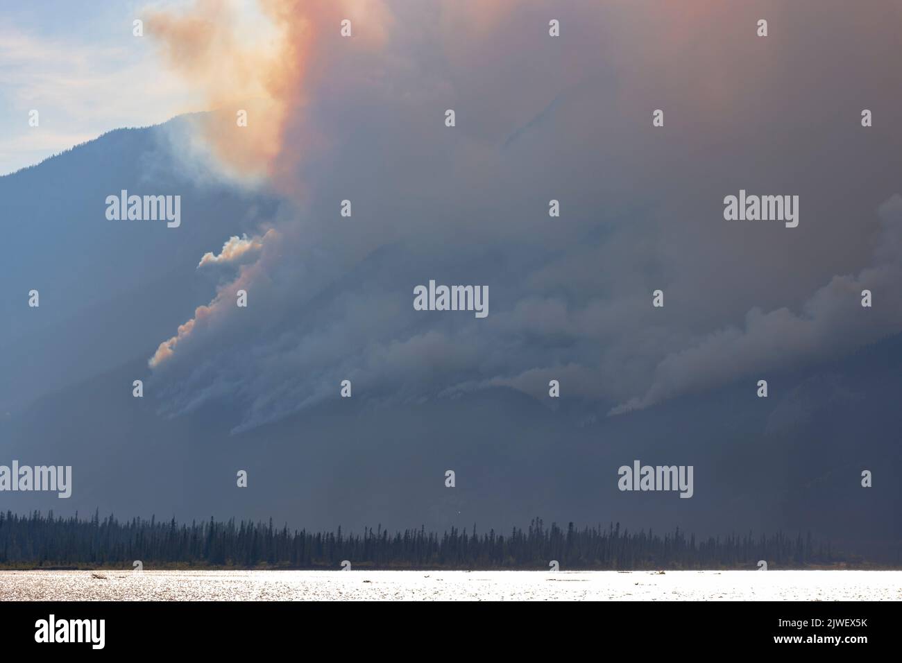 feu de forêt qui fait rage dans les montagnes, fumée qui s'affiche Banque D'Images