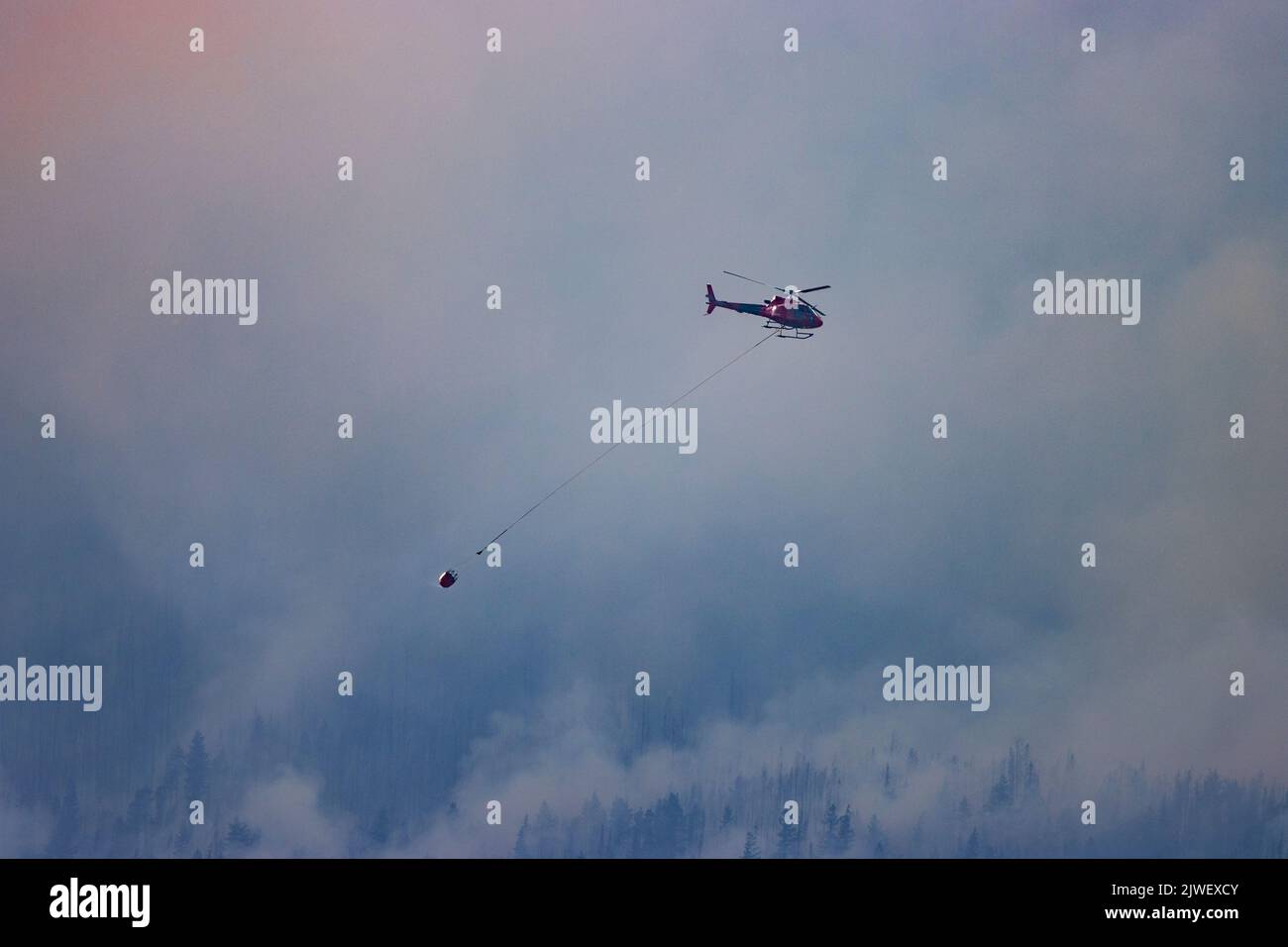 hélicoptère larguer de l'eau sur feu de forêt actif Banque D'Images