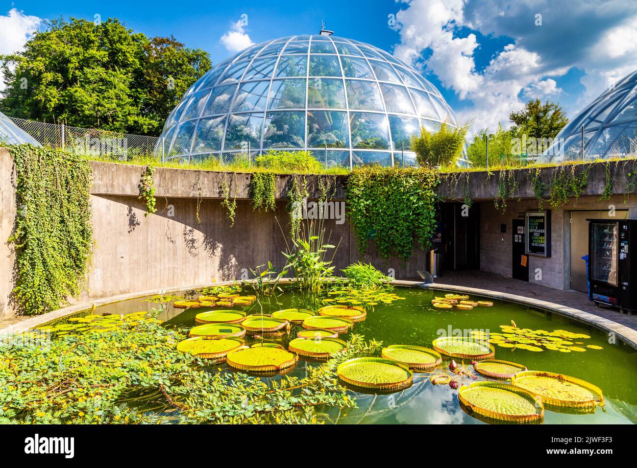 Étang aux nénuphars et dôme d'une serre au jardin botanique de l'Université de Zurich, Zurich, Suisse Banque D'Images