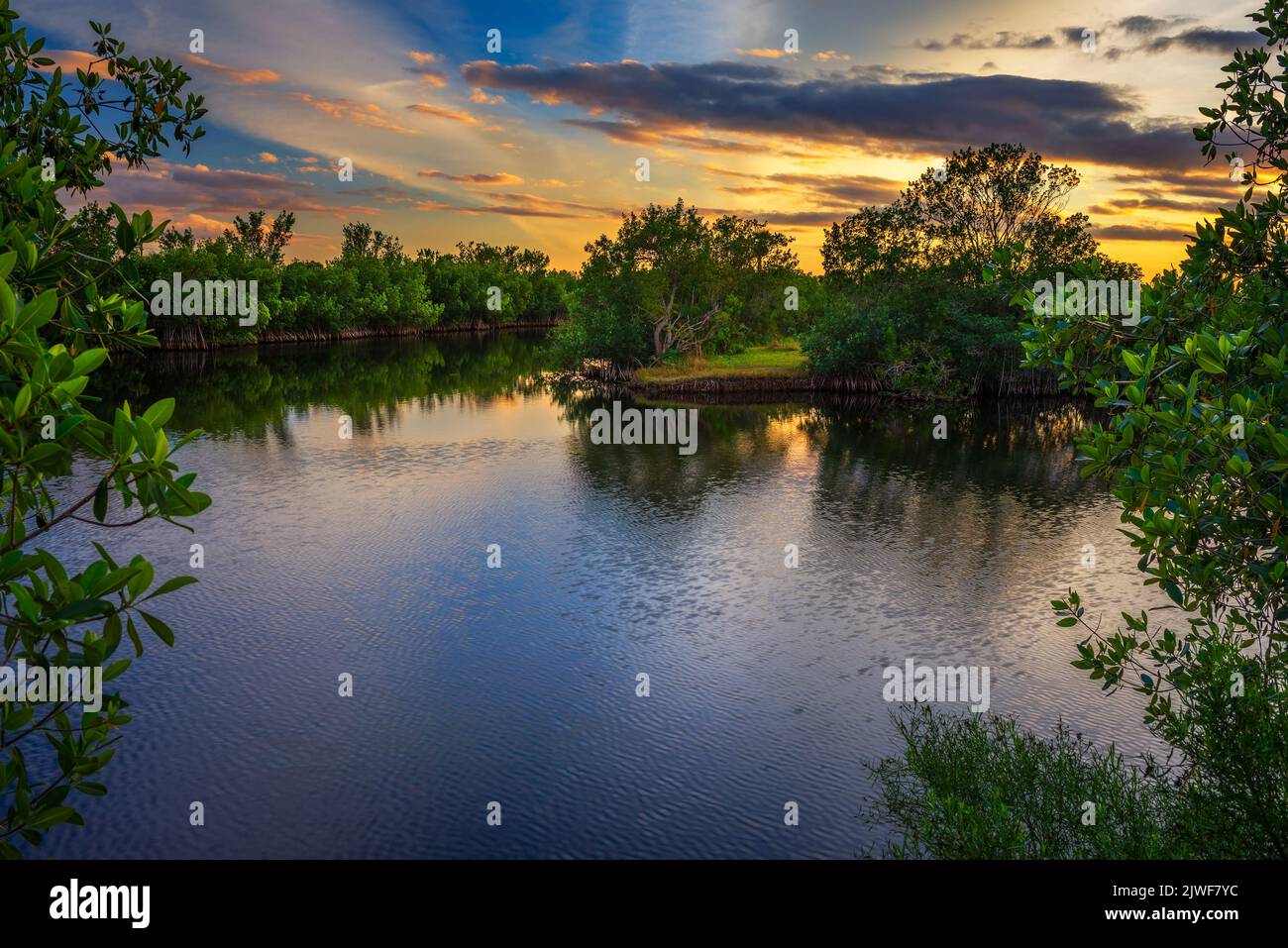 Coucher de soleil coloré sur un lac dans le parc national des Everglades, Floride Banque D'Images