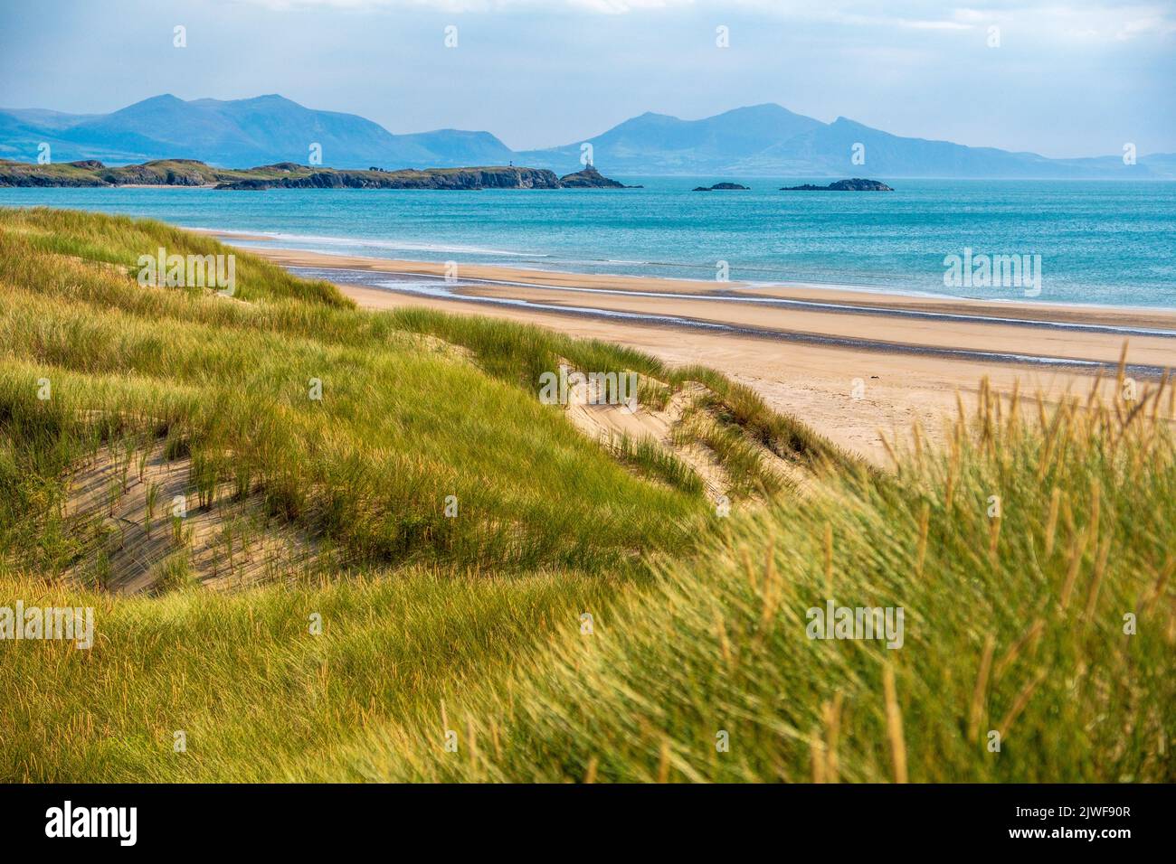 Dunes de sable et herbe de maram à Newborough , Anglesey, au nord du pays de Galles. L'île de Llanddwyn et la péninsule de Lleyn à distance Banque D'Images