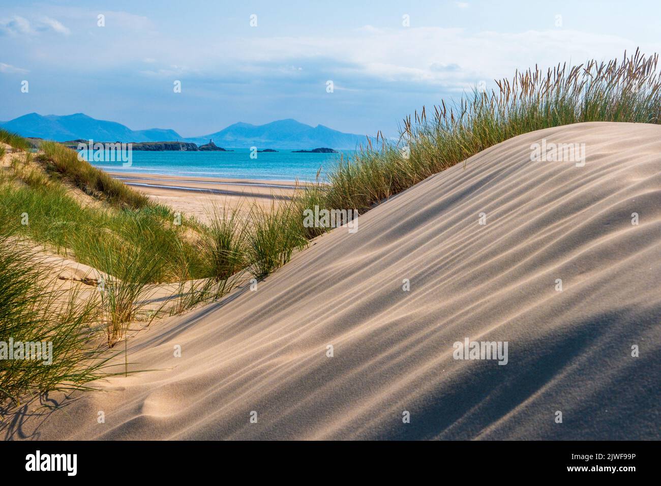 Dunes de sable et herbe de maram à Newborough , Anglesey, au nord du pays de Galles. L'île de Llanddwyn et la péninsule de Lleyn à distance Banque D'Images