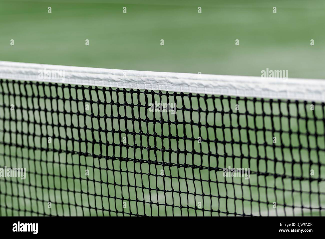 Filet de paddle-tennis vert et terrain dur. Affiche sur le thème du sport horizontal, cartes de vœux, en-têtes, site Web et application Banque D'Images