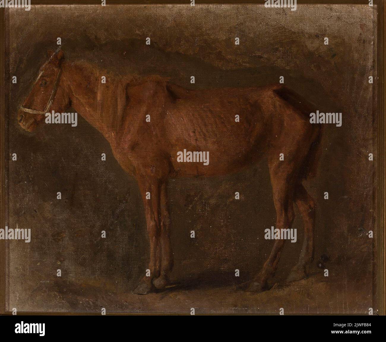 Étude d'un cheval. Chełmoński, Józef (1849-1914), peintre Banque D'Images