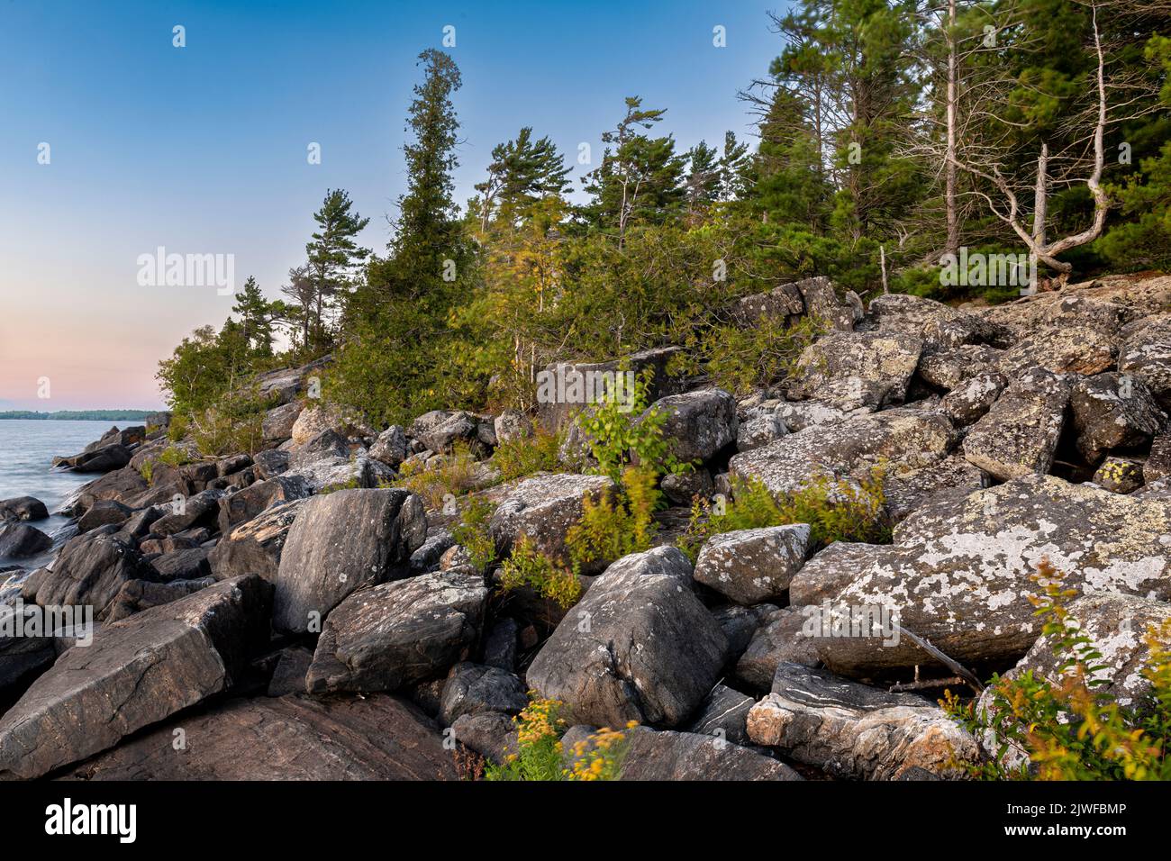 Rive d'une île au sein de l'archipel de 30 000 îles, sur la partie est de la baie Georgienne, en Ontario, au Canada. Banque D'Images