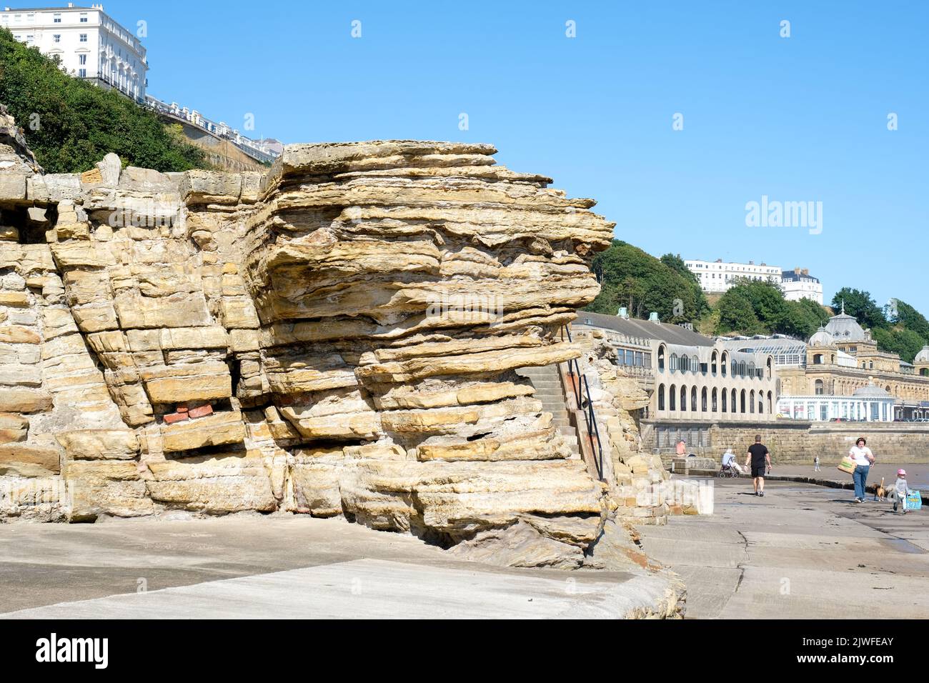 Scarborough, Yorkshire du Nord, Royaume-Uni, 1 septembre 2022 des affleurements rocheux inhabituels le long de la promenade de South Bay, Scarborough. Banque D'Images