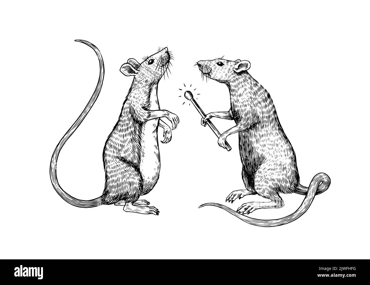 Rat ou souris avec une correspondance. Animal sauvage graphique. Croquis vintage dessiné à la main. Éléments de grunge gravés. Illustration de Vecteur