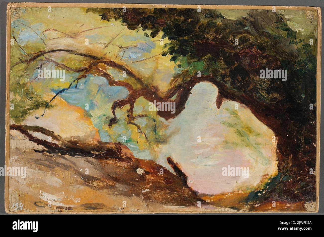 Arbres à Alupka. Du voyage à la Crimée. Ciągliński, Jan (1858-1913), peintre Banque D'Images Arbres à Alupka. Du voyage à la Crimée. Ciągliński, Jan (1858-1913), peintre Banque D'Images