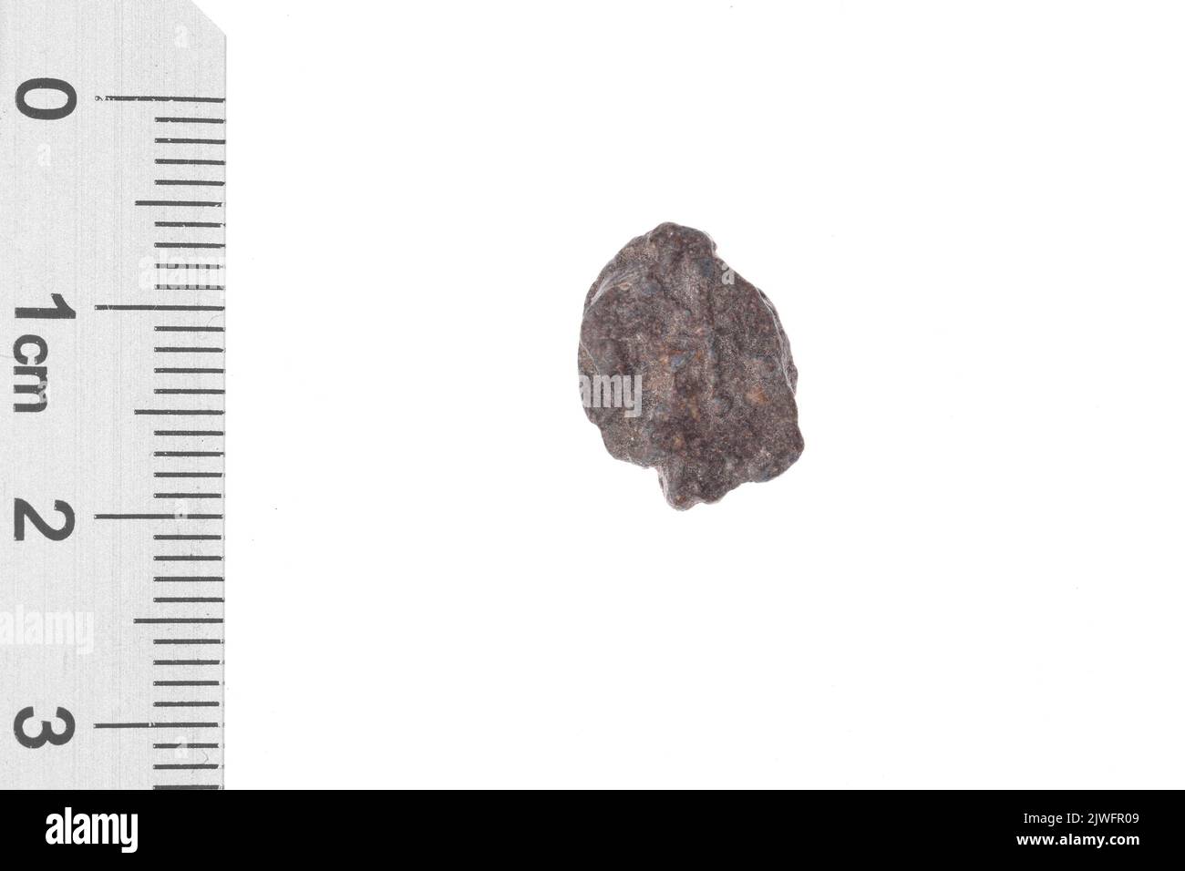 Drohiczyn SEAL. Inconnu, gestionnaire Banque D'Images