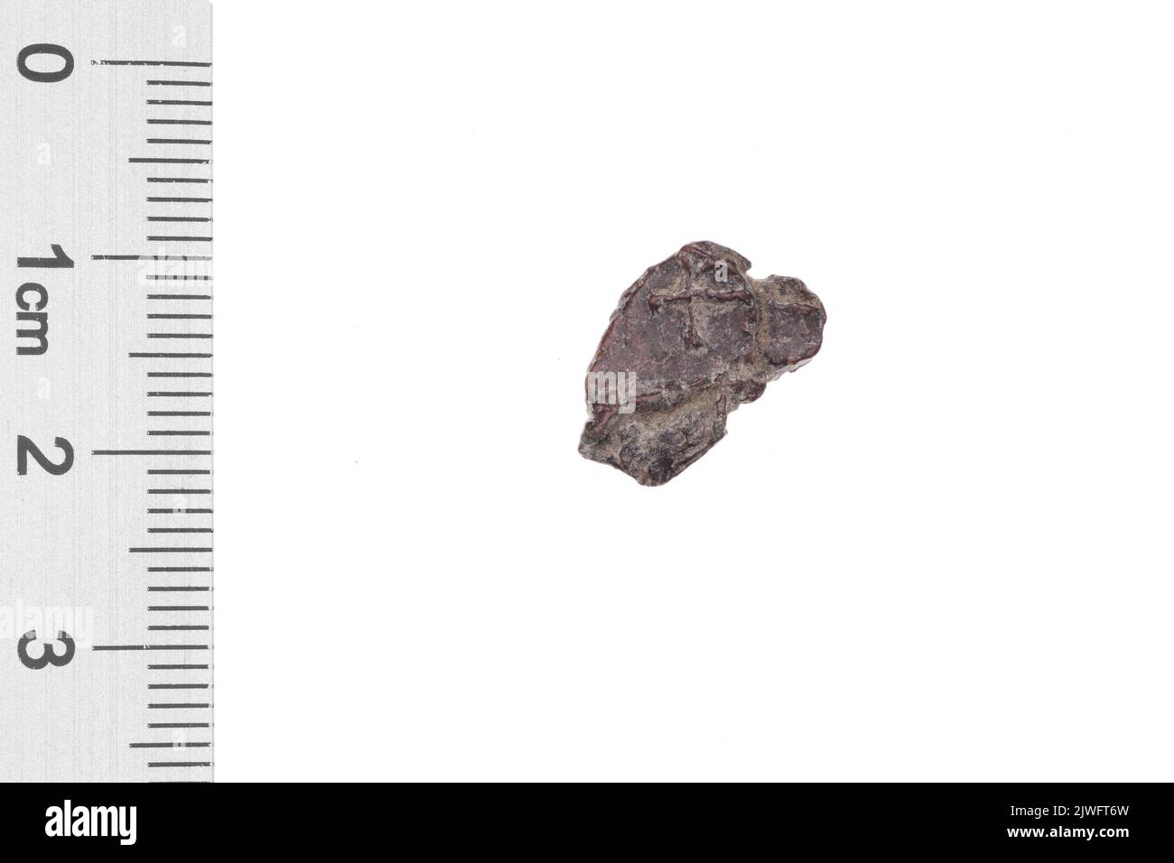 Drohiczyn SEAL. Inconnu, gestionnaire Banque D'Images