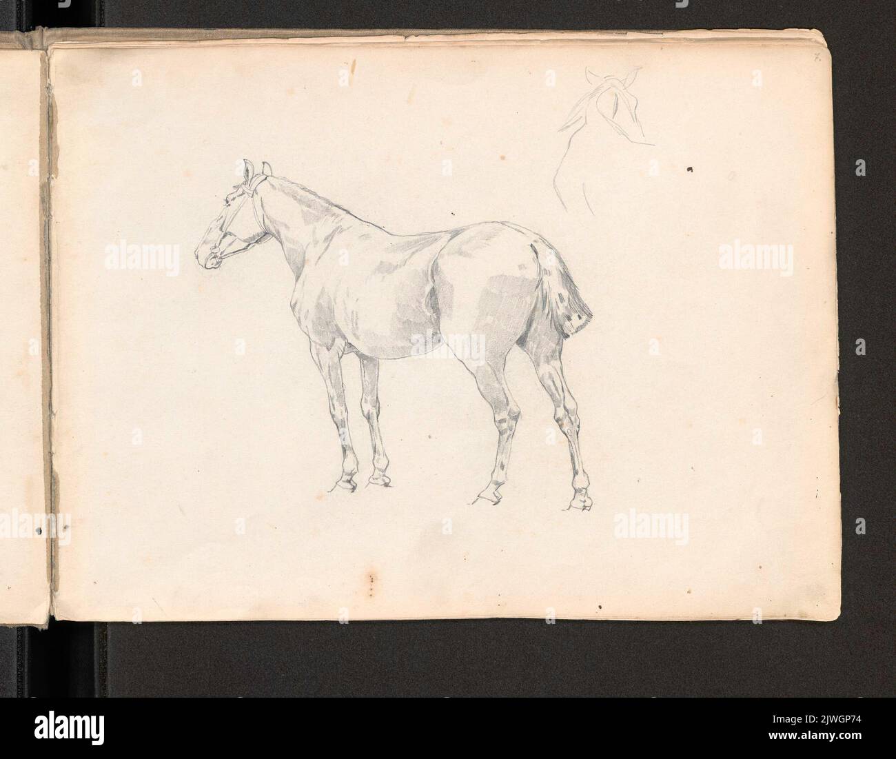Cheval, étude pour la peinture "Retour de la foire de cheval" (1881). Brandt, Józef (1841-1915), dessinateur, dessinateur Banque D'Images
