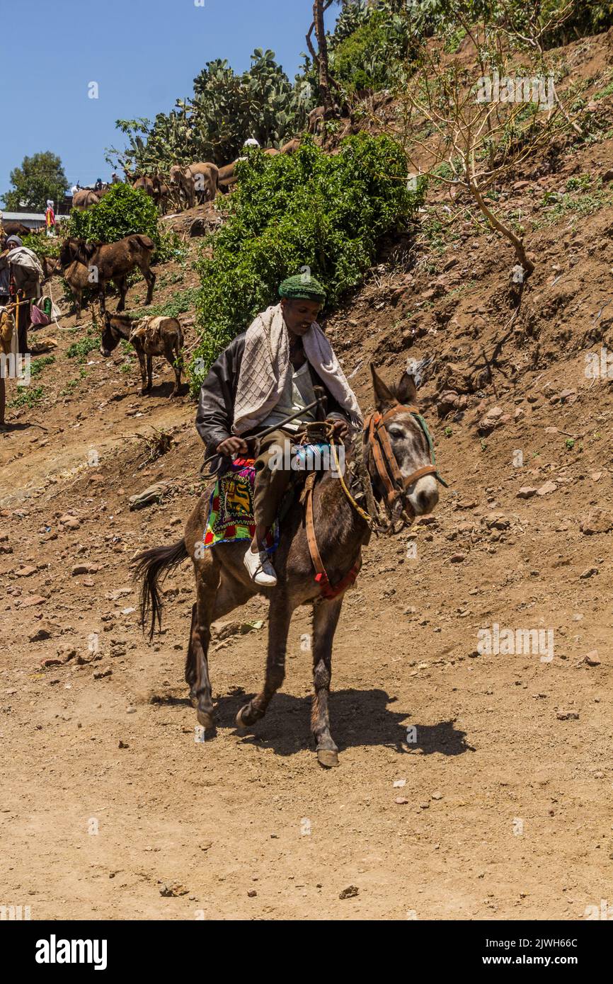 LALIBELA, ETHIOPIE - 30 MARS 2019 : cheval au marché du samedi à Lalibela, Ethiopie Banque D'Images