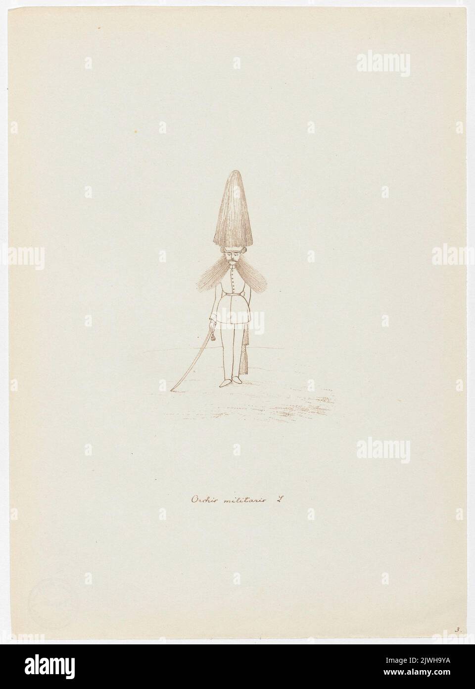 'Orchis milaris'. Winkler, Karl Gustav Adolf (1810-1893), dessinateur, dessinateur Banque D'Images