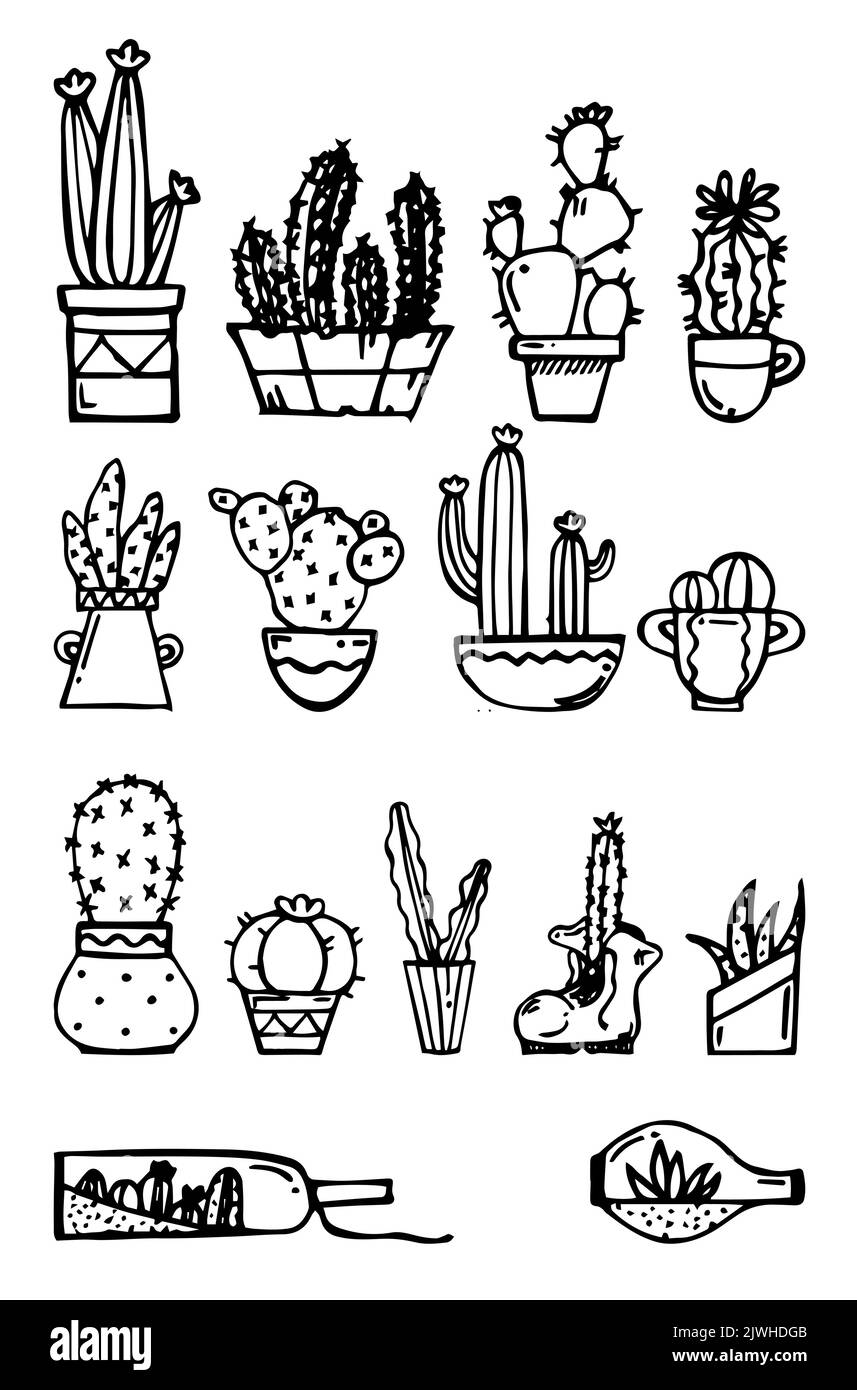 Plantes d'intérieur cactus en pots. Ensemble d'objets. Épines exotiques. Esquisse dessinée à la main. Dessin avec de l'encre. Isolé sur fond blanc. Vecteur. Illustration de Vecteur Plantes d'intérieur cactus en pots. Ensemble d'objets. Épines exotiques. Esquisse dessinée à la main. Dessin avec de l'encre. Isolé sur fond blanc. Vecteur. Illustration de Vecteur