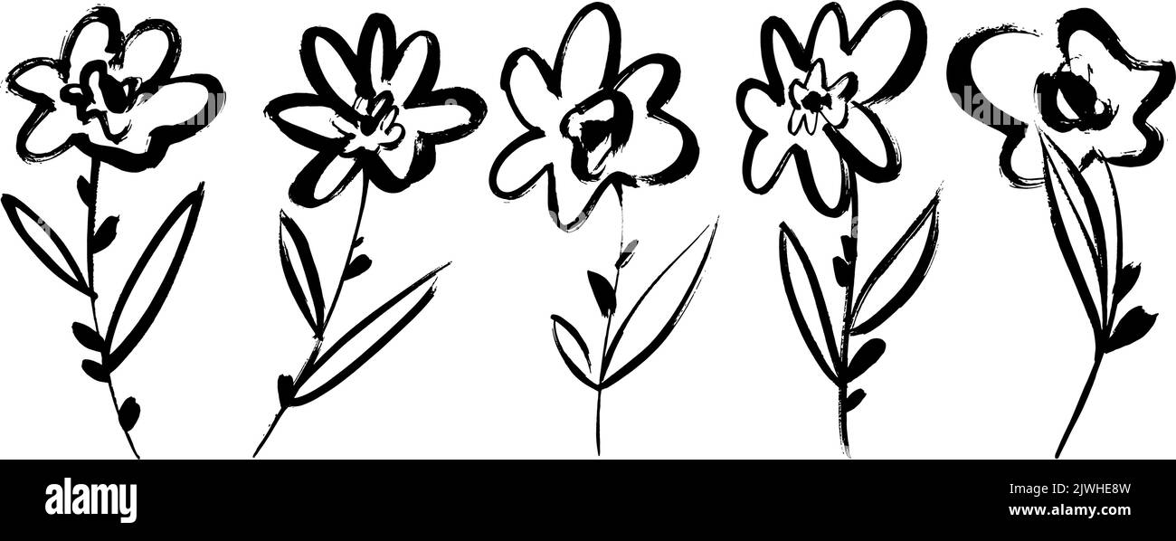 Ensemble de tiges de fleurs vectorielles dessinées à la main. Illustration de Vecteur
