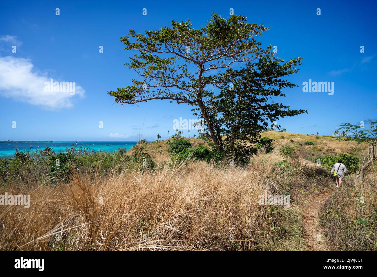 Personne seule sur la piste de randonnée de Nanuya Lailai Island Yasawa Island, Fidji Banque D'Images