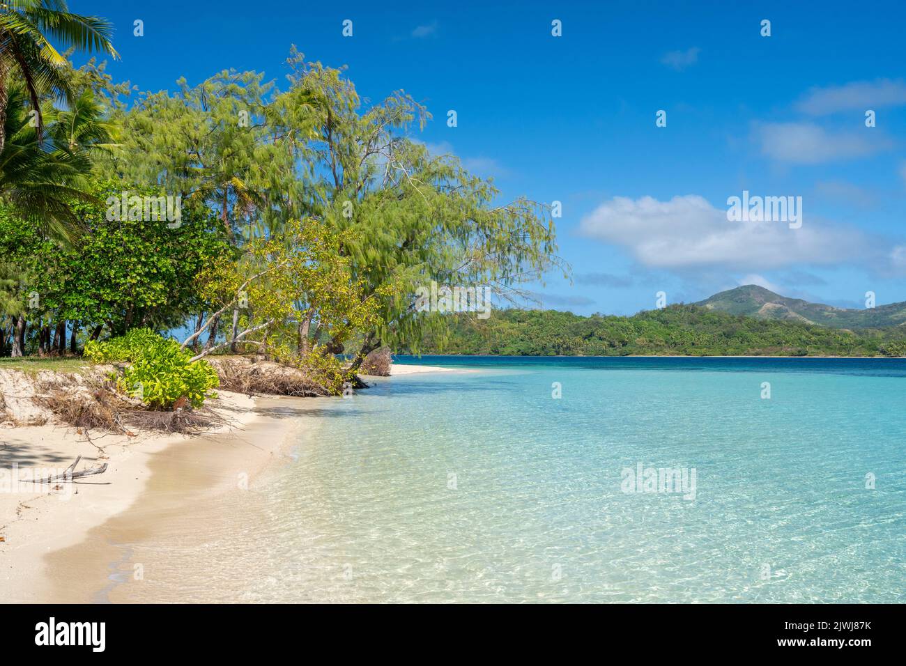 Arbres bordant une plage de sable blanc à Blue Lagoon, île de Nanuya, Yasawa Group, Fidji Banque D'Images