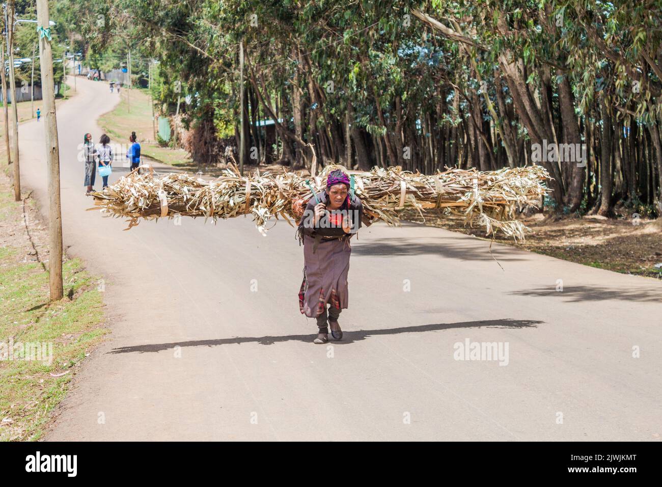 ADDIS-ABEBA, ETHIOPIE - 6 AVRIL 2019 : une femme locale transporte du bois de chauffage dans la banlieue d'Entoto d'Addis-Abeba, Ethiopie Banque D'Images